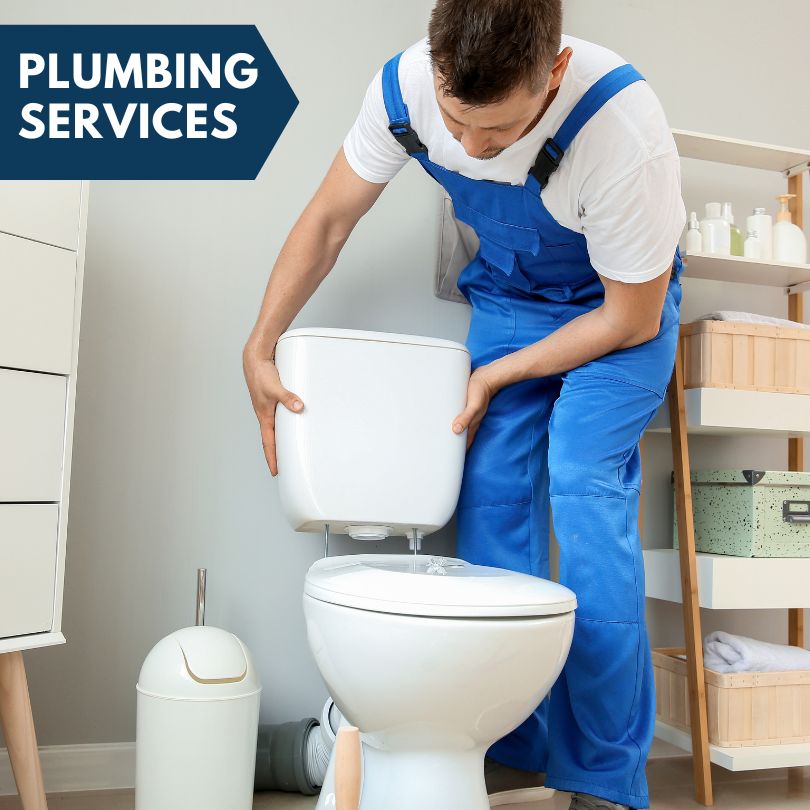 Plumbing Company in Carlisle, IA